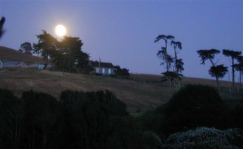 Point Reyes Vineyard Inn California City Exterior foto