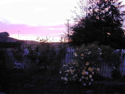 Point Reyes Vineyard Inn California City Exterior foto