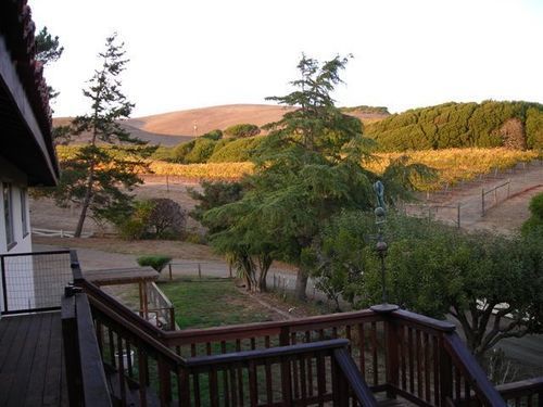 Point Reyes Vineyard Inn California City Exterior foto